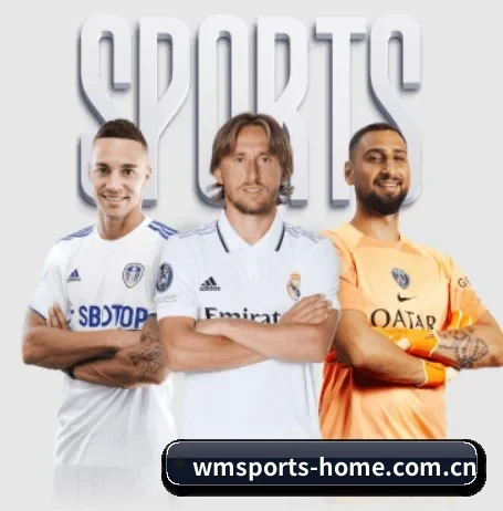 完美体育官网的故事(WMsports)