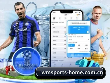 完美体育官网 APP(wmsports)