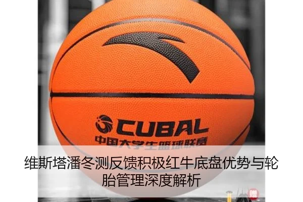 维斯塔潘冬测反馈积极红牛底盘优势与轮胎管理深度解析（wmsports）